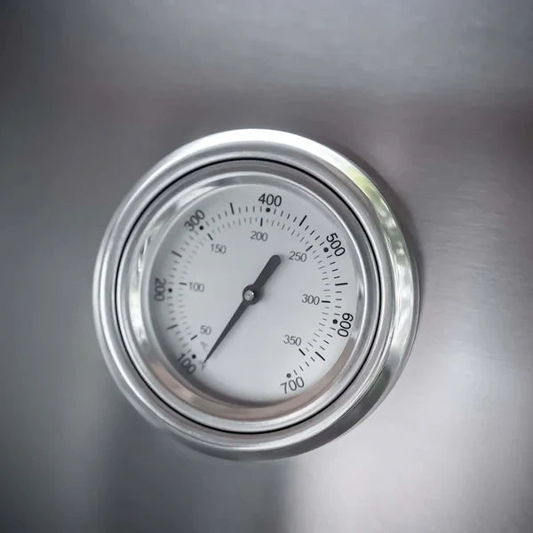 Classic 4 Burner Stainless Infrared