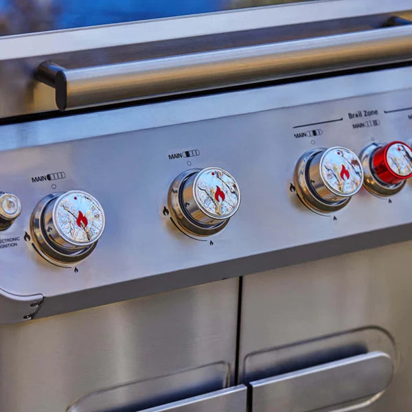 Mesa 4 Burner Stainless Infrared